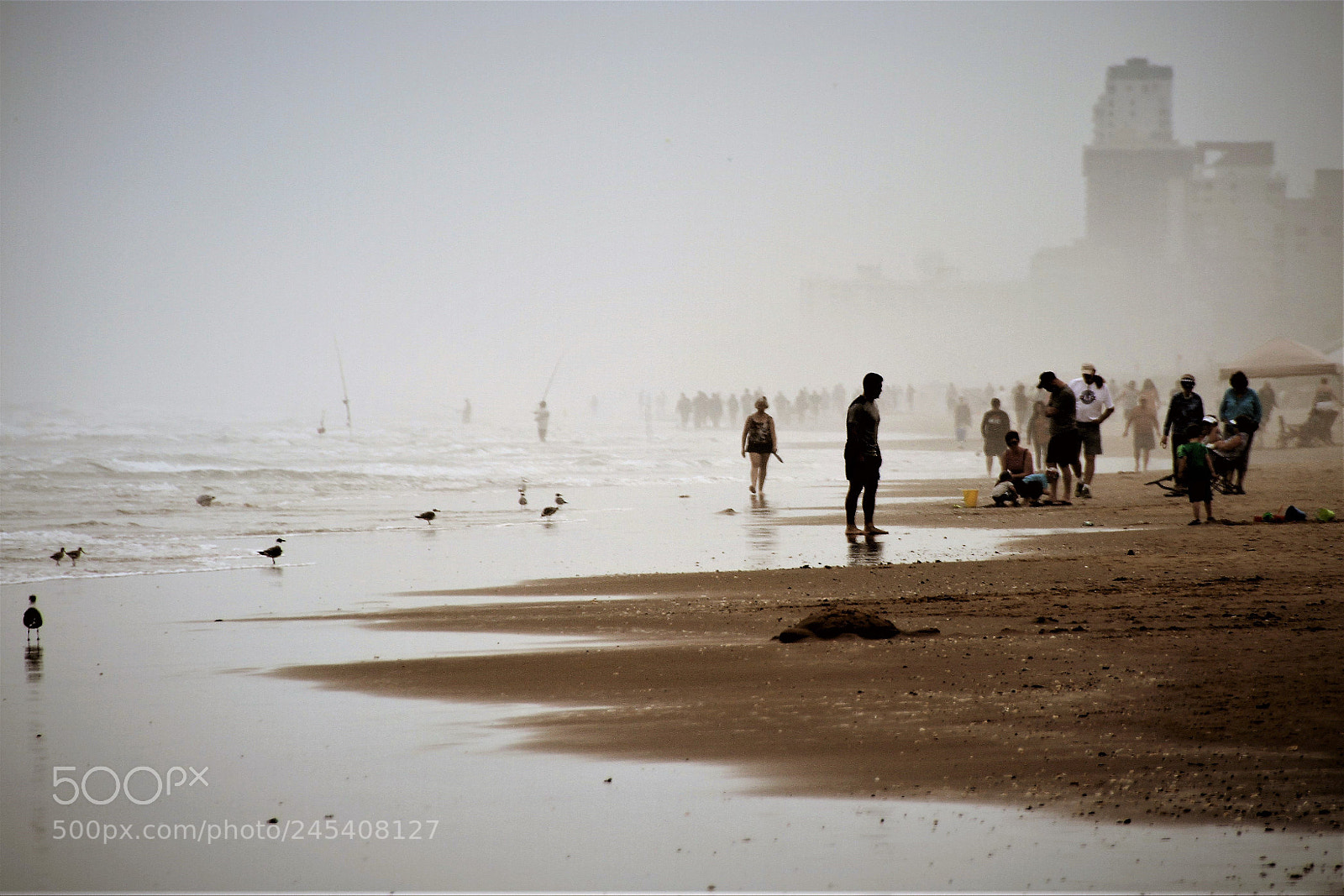 Canon EOS 7D sample photo. Foggy south padre island photography