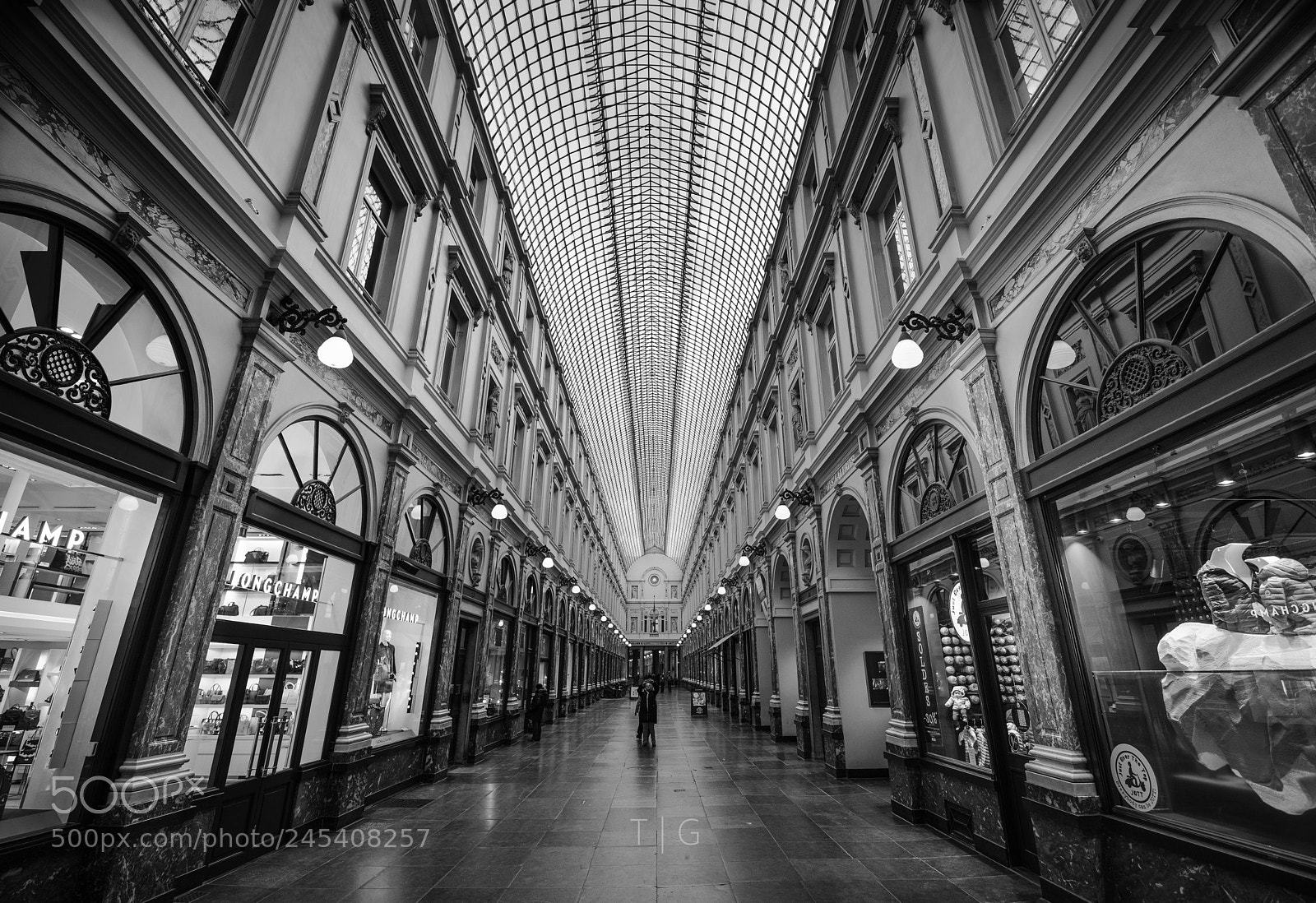 Nikon D810 sample photo. Galeries royales saint-hubert photography