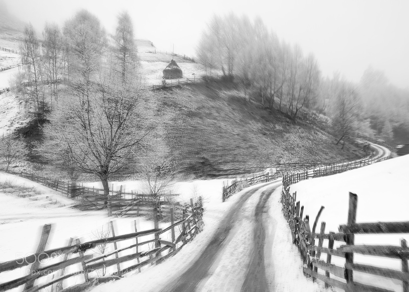 Nikon D800 sample photo. Fundatica photography