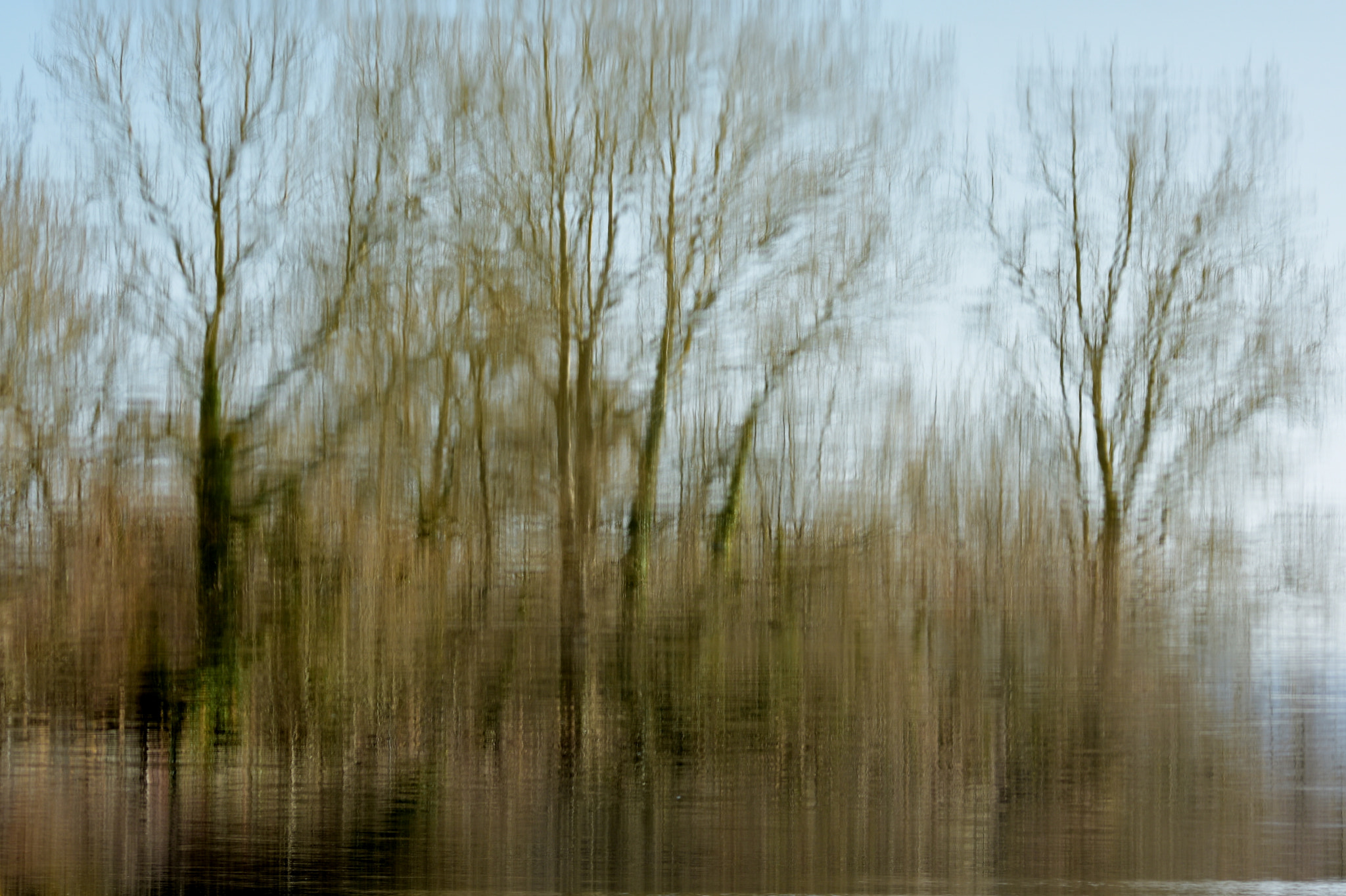 Sigma 150-500mm F5-6.3 DG OS HSM sample photo. Foto ..impressionista photography