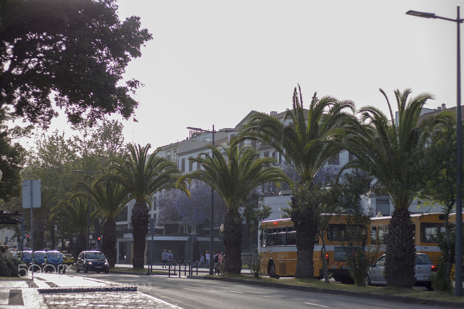 Canon EOS 500D (EOS Rebel T1i / EOS Kiss X3) sample photo. Downtown funchal photography