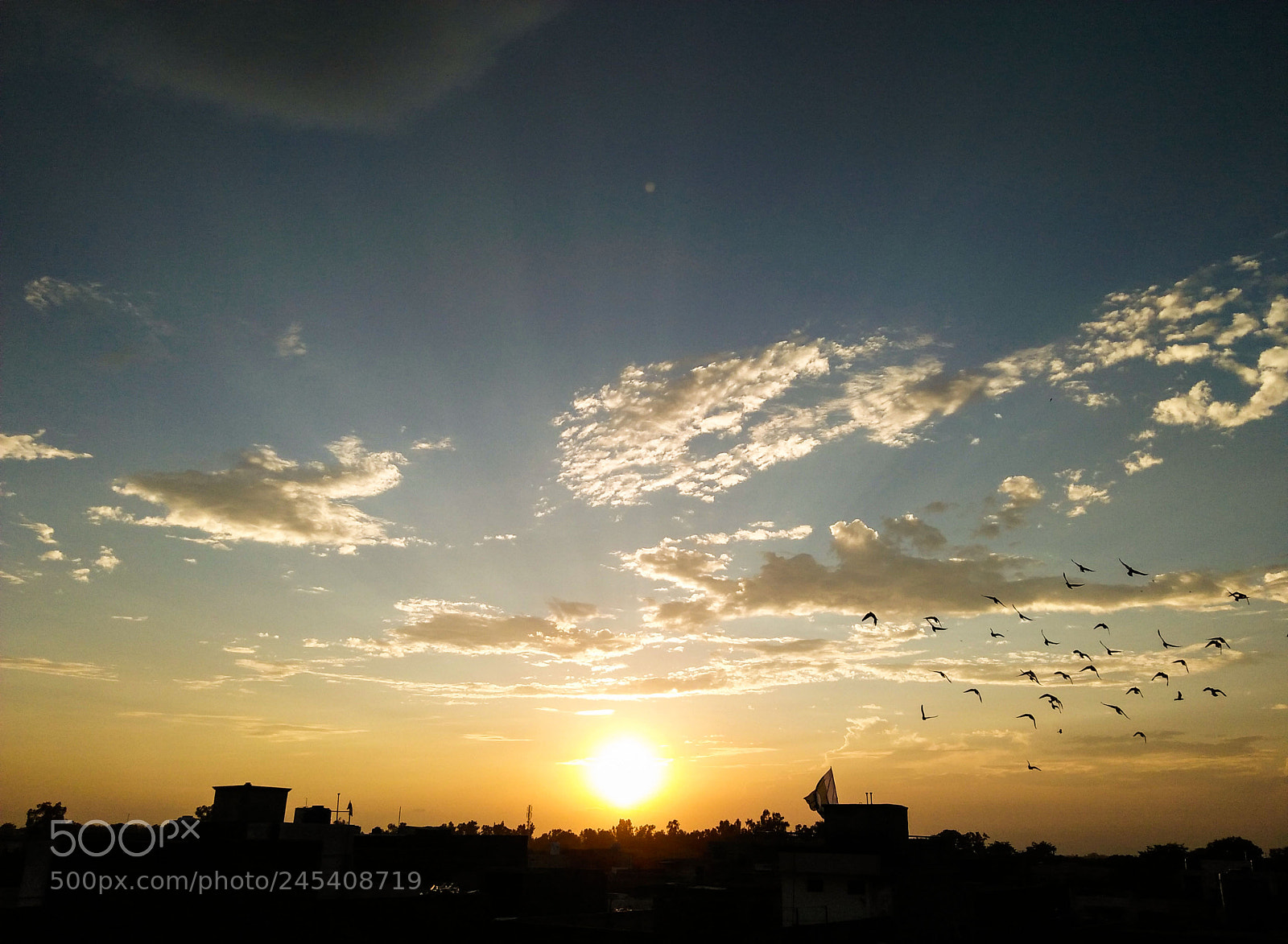 OPPO A37fw-International sample photo. Golden hour photography