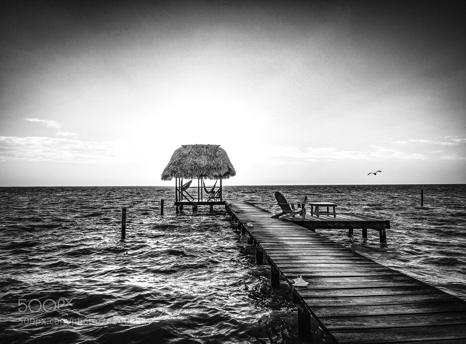 Nikon D810 sample photo. Walkway to bliss photography