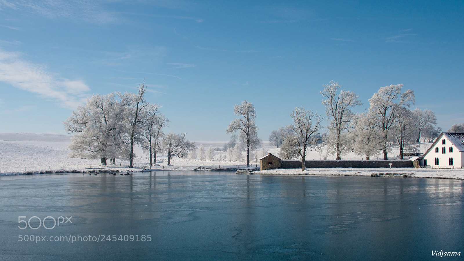 Nikon D610 sample photo. Frosted paradise photography