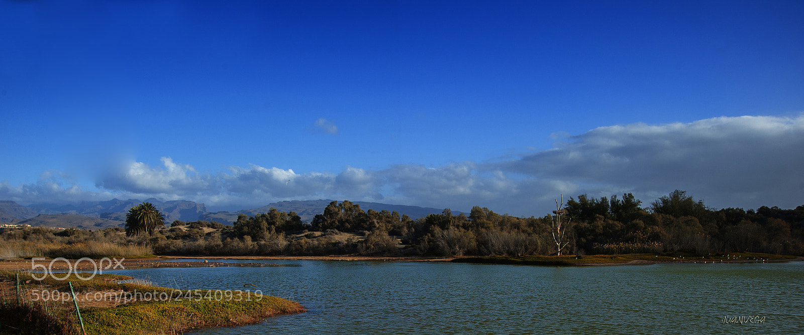 Nikon D700 sample photo. Charca photography