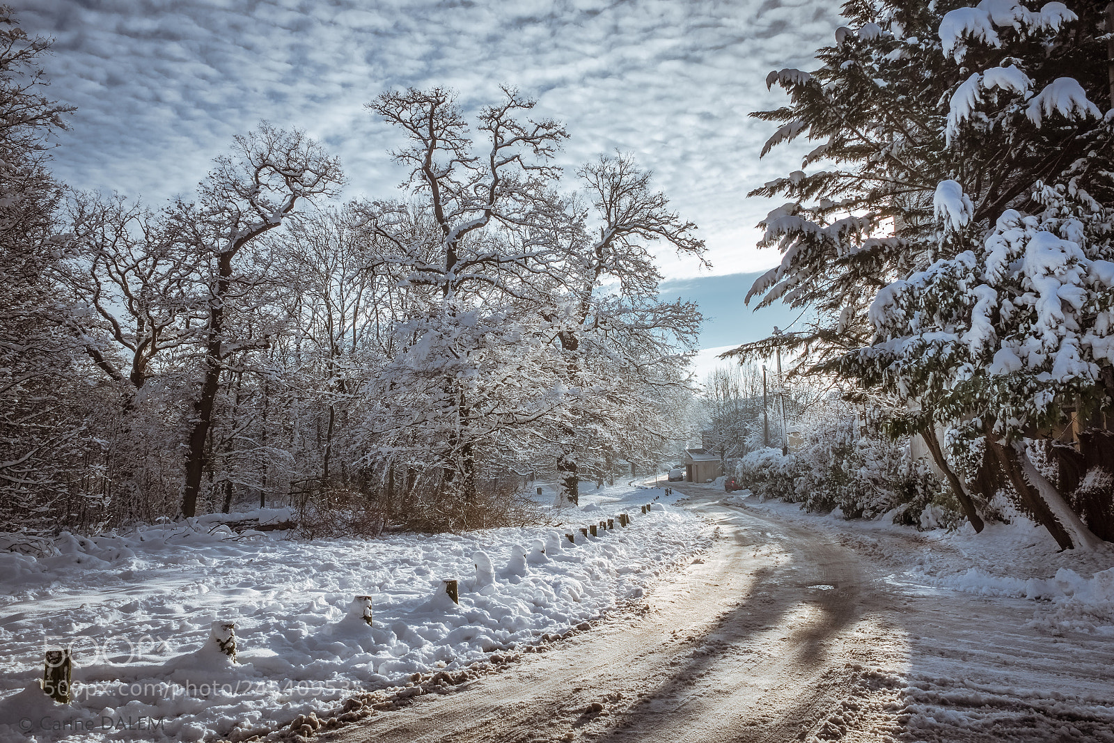 Fujifilm X70 sample photo. Under snow photography