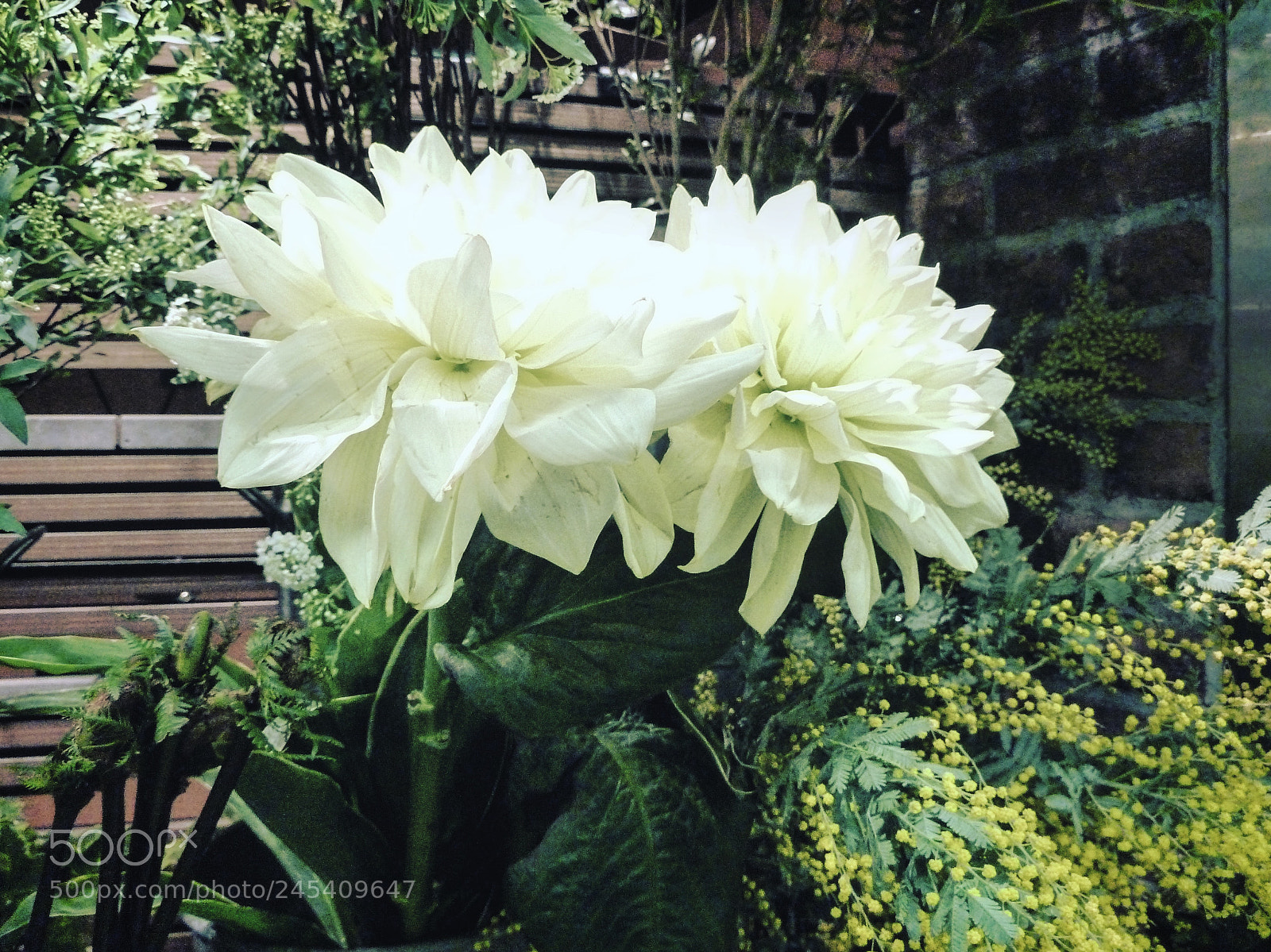 Panasonic Lumix DMC-ZS7 (Lumix DMC-TZ10) sample photo. Untitled photography