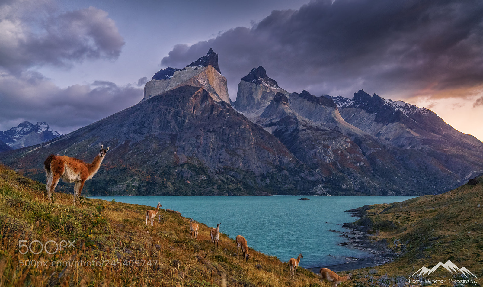 Sony a7R II sample photo. Sunrise torres del paine photography