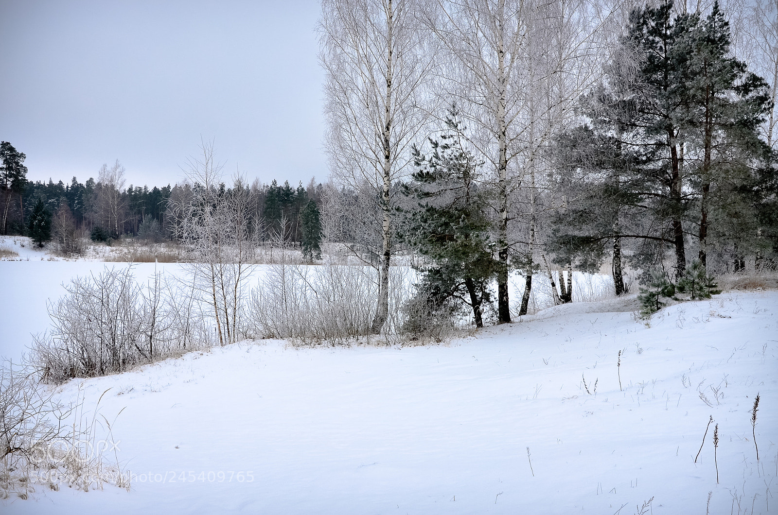 Nikon D5100 sample photo. Cold february photography