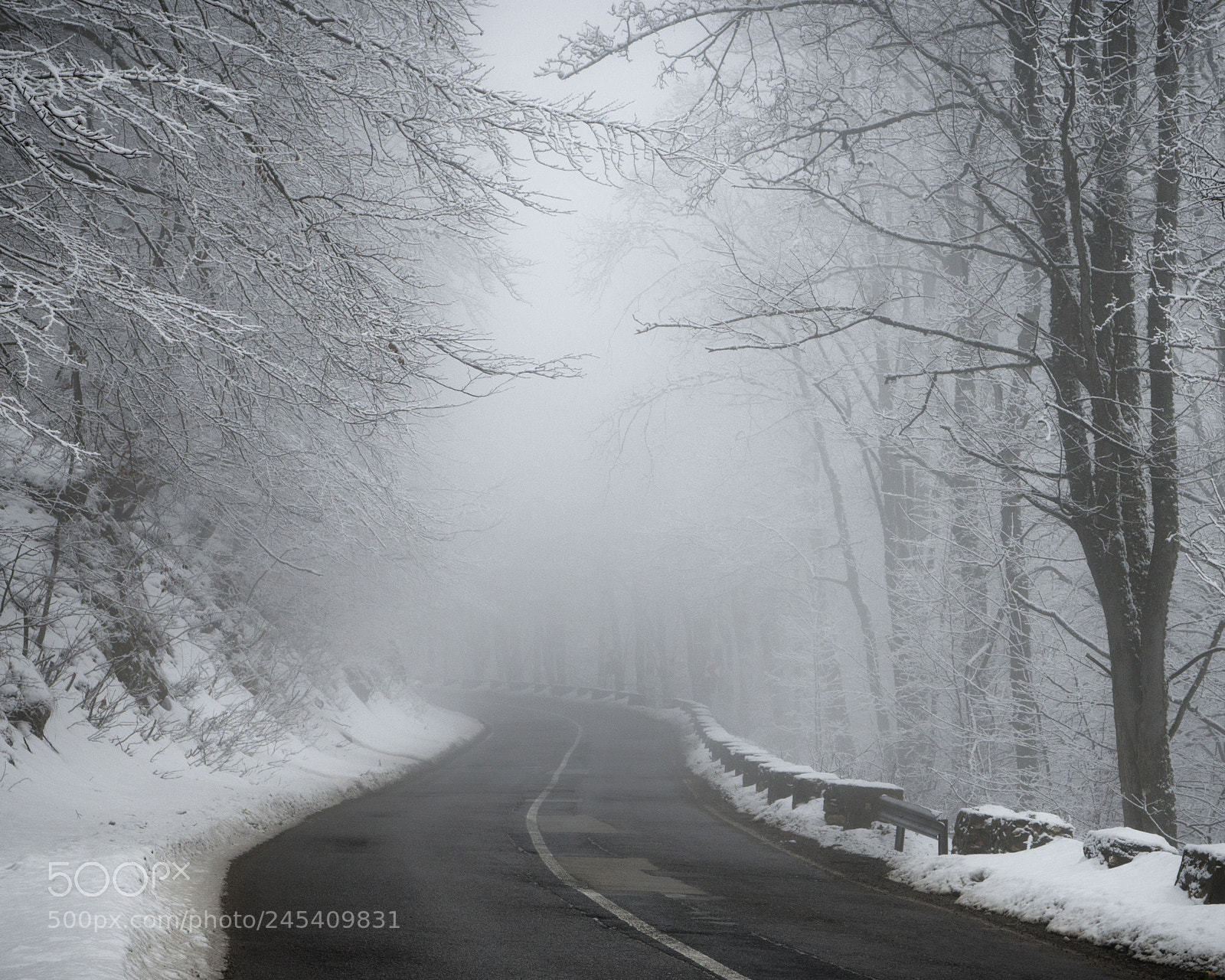 Nikon D800 sample photo. Mistery road photography