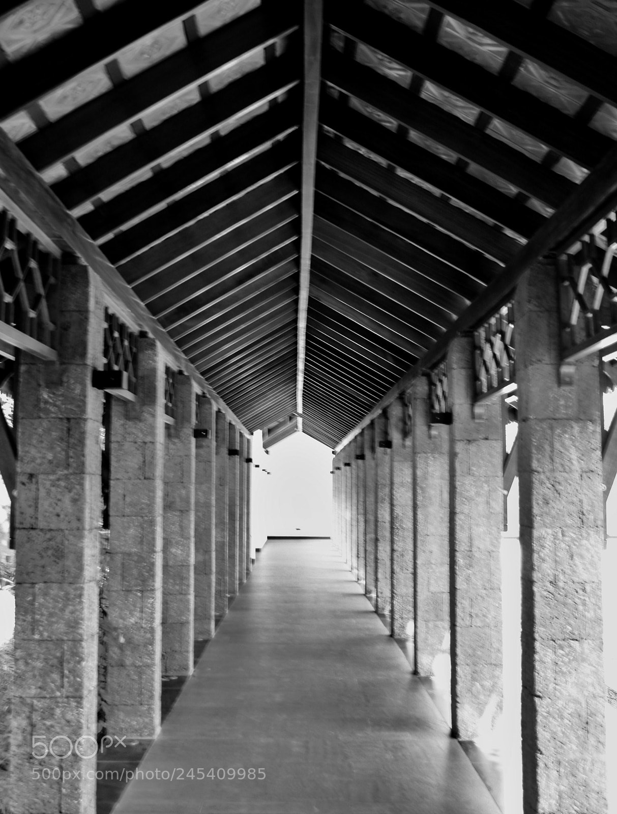 Canon EOS 1000D (EOS Digital Rebel XS / EOS Kiss F) sample photo. The path photography