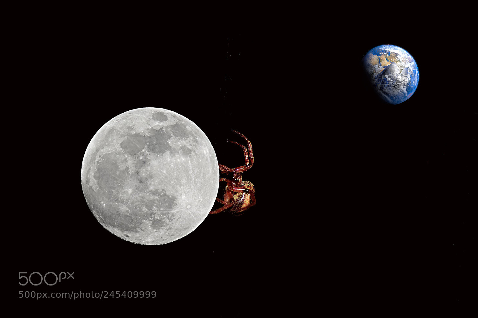 Canon EOS 60D sample photo. Moon spider and earth photography