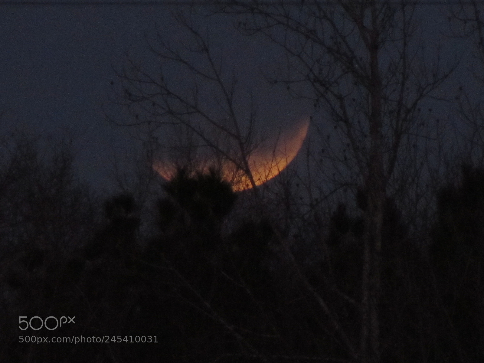 Canon PowerShot SX510 HS sample photo. Lunar eclipse photography