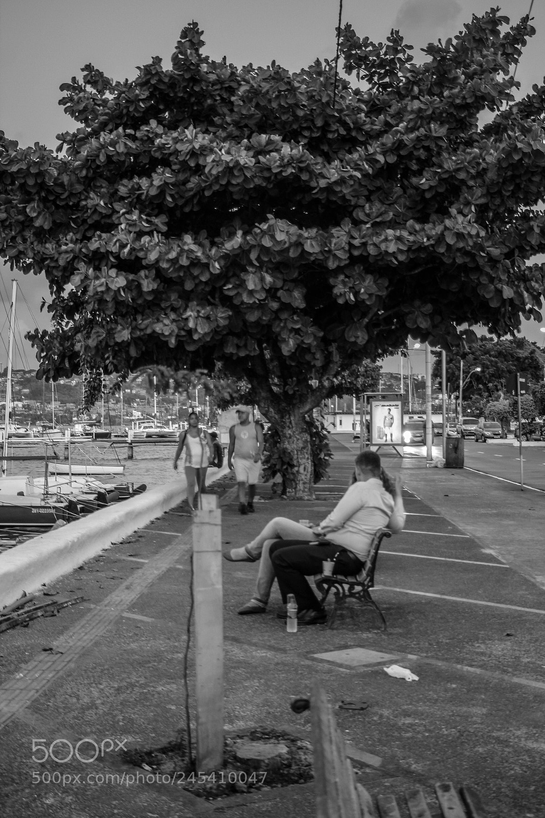 Canon EOS 60D sample photo. Untitled photography