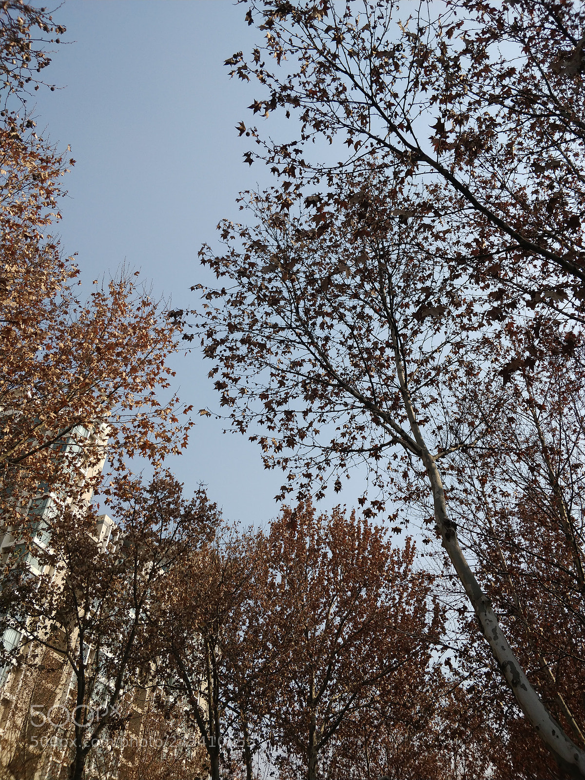 OnePlus 5T sample photo. Img_20180206_115050.jpg photography