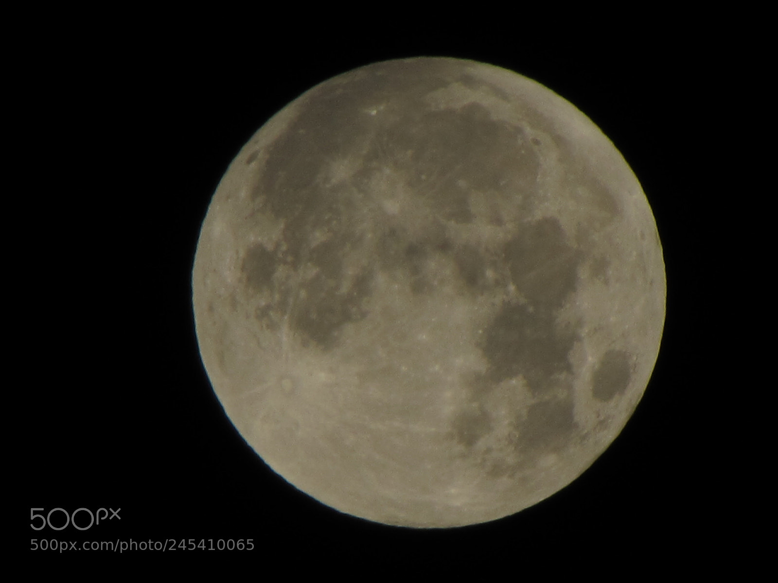 Canon PowerShot SX510 HS sample photo. Blue moon photography