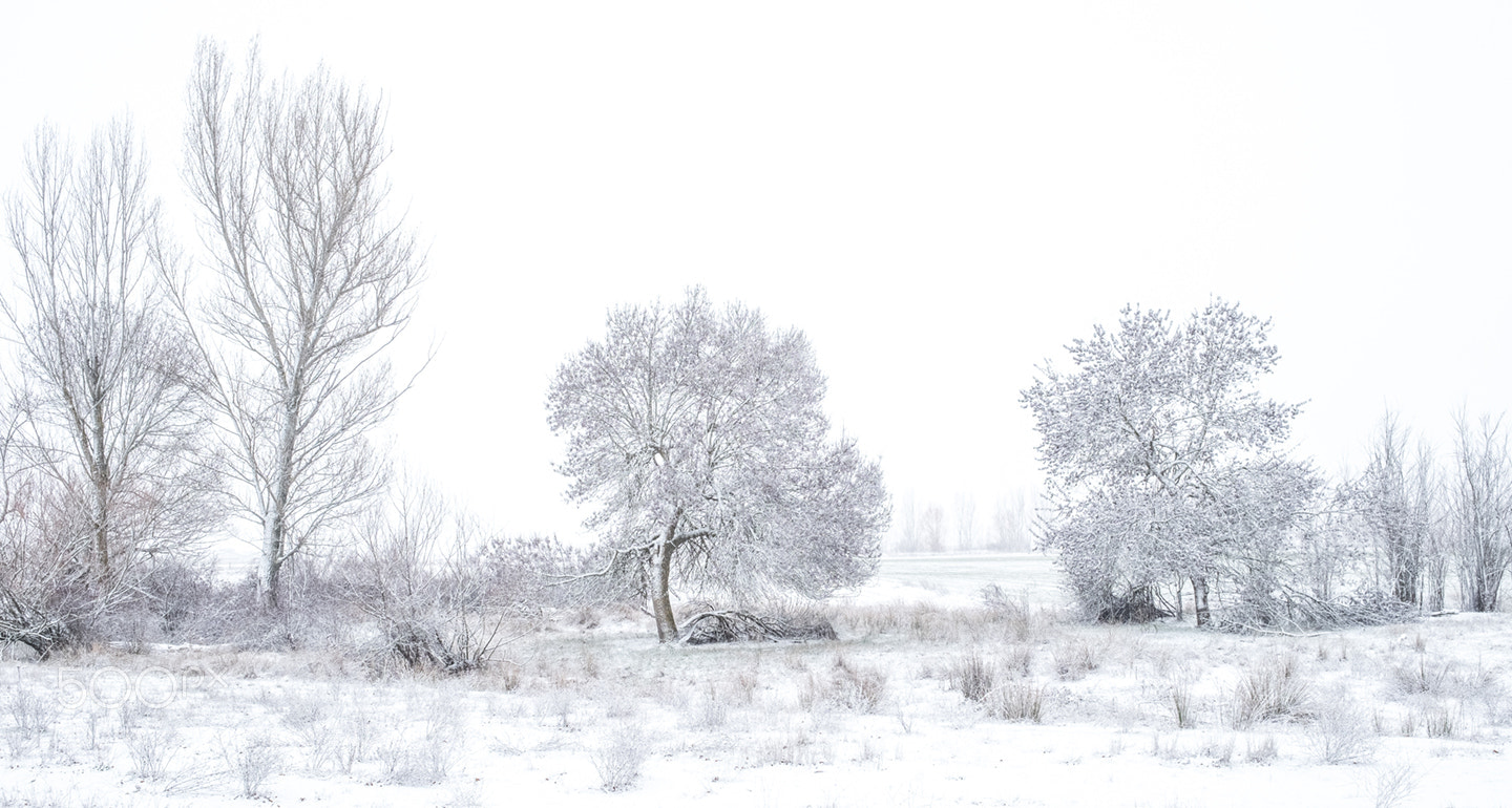 Fujifilm X-Pro2 sample photo. Invierno en ventosa photography