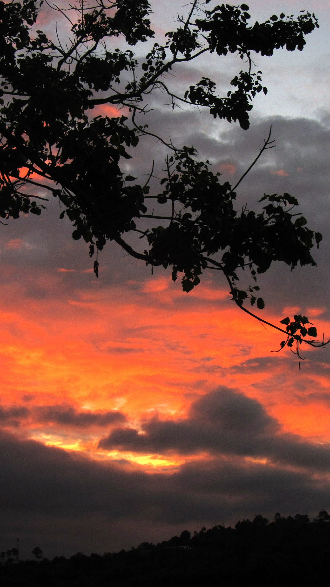 Canon PowerShot SX230 HS sample photo. Sky above me. earth below me. fire within me photography