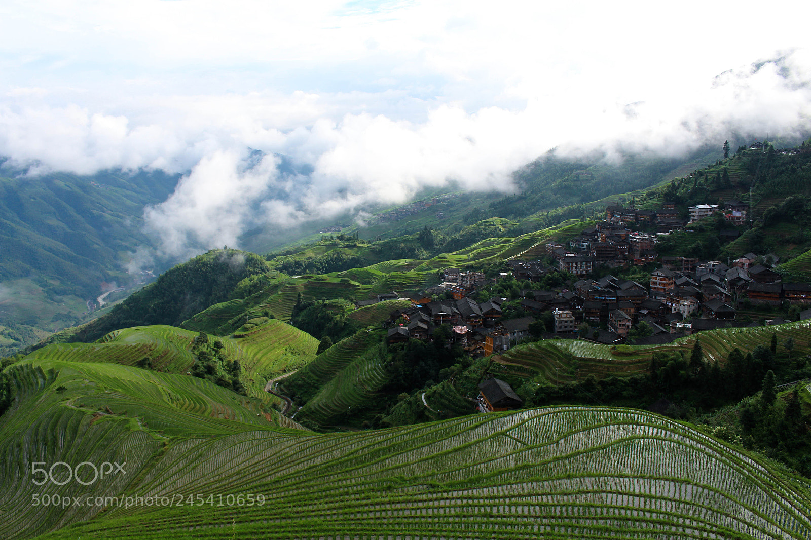 Canon EOS 700D (EOS Rebel T5i / EOS Kiss X7i) sample photo. Green rice terraces photography