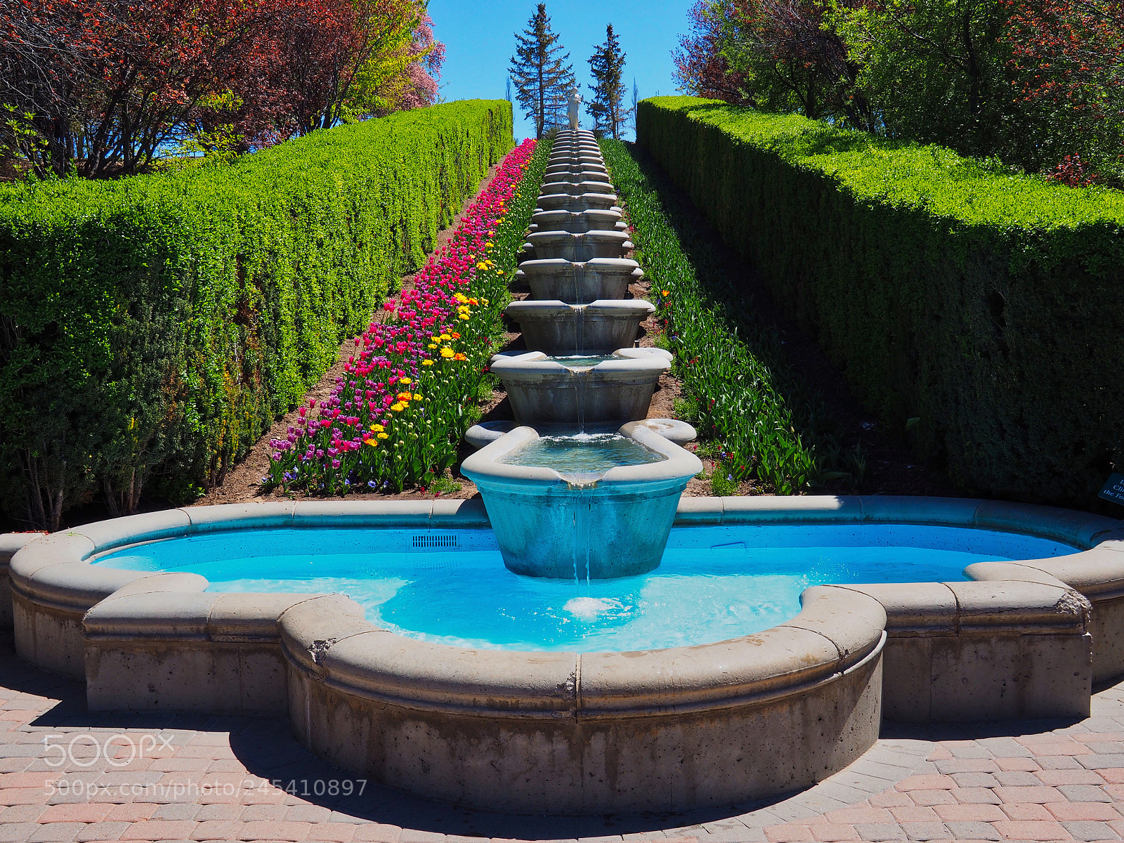 Olympus OM-D E-M10 sample photo. Fountain fantasy ... photography