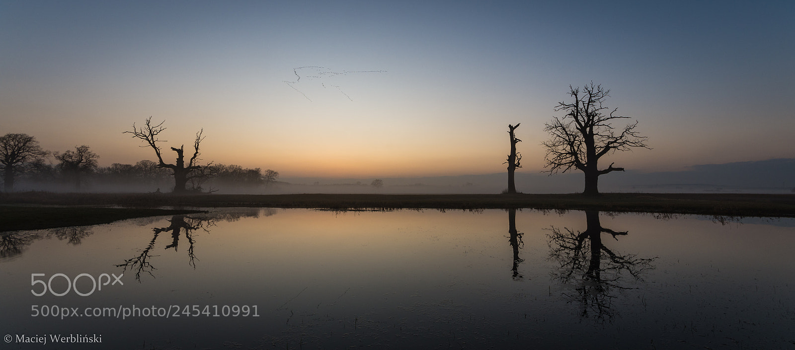 Pentax K-50 sample photo. Rogalin photography