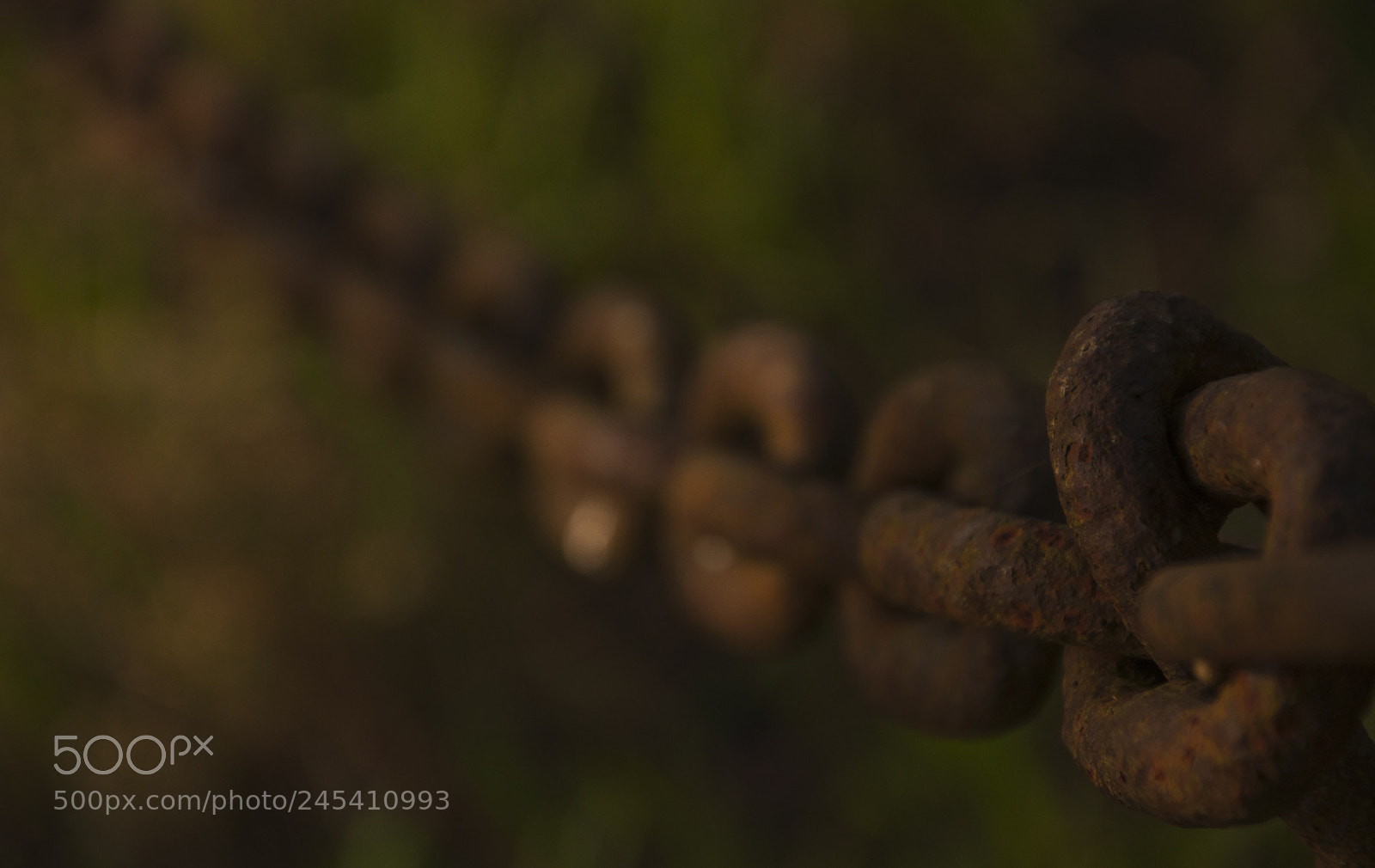 Nikon D90 sample photo. Old chain photography