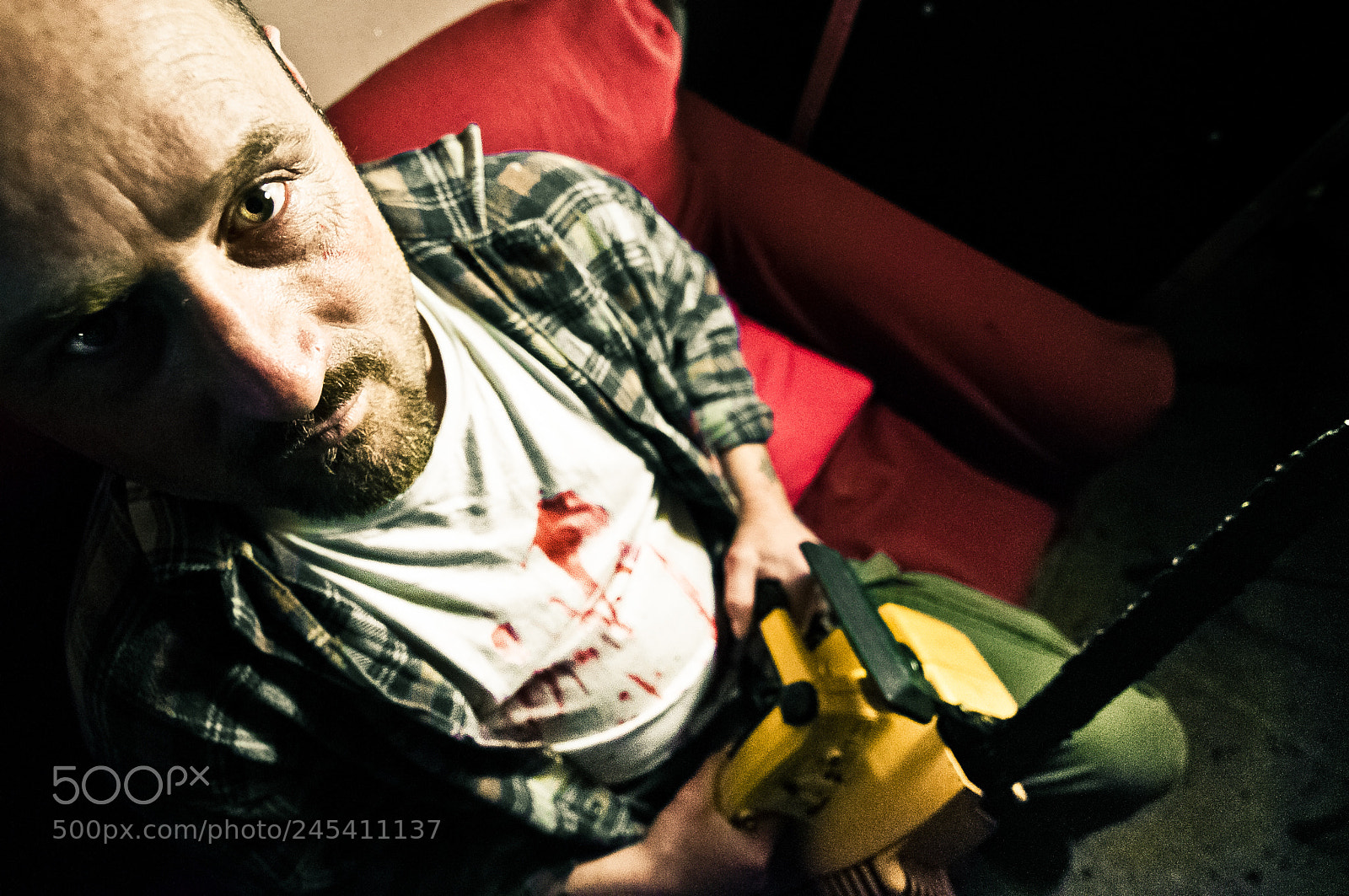Nikon D300S sample photo. Chainsaw man photography