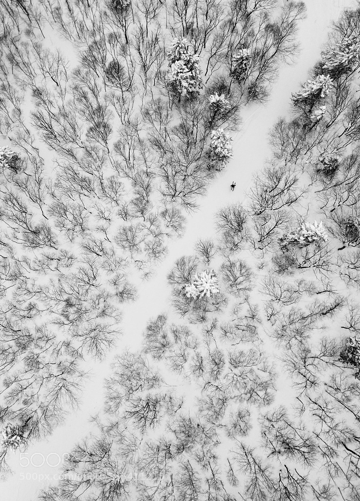 DJI FC220 sample photo. 札幌滑雪场 photography