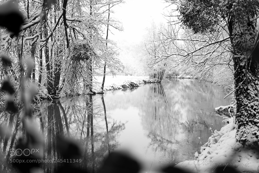 Nikon D810 sample photo. Le grand morin photography