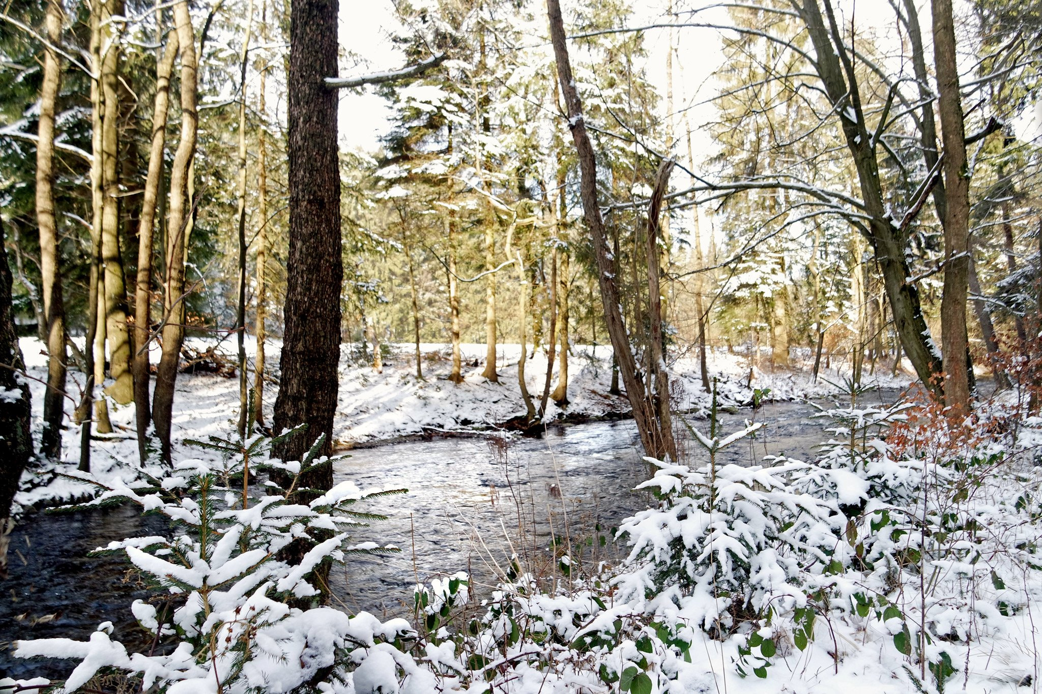 Samsung NX3300 sample photo. Beautiful wintertime photography