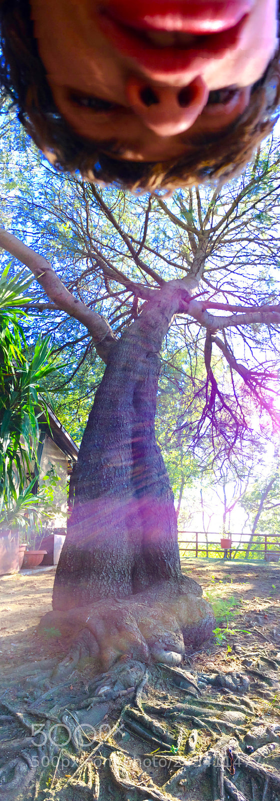 Apple iPhone 5s sample photo. Alternative use of panorama photography