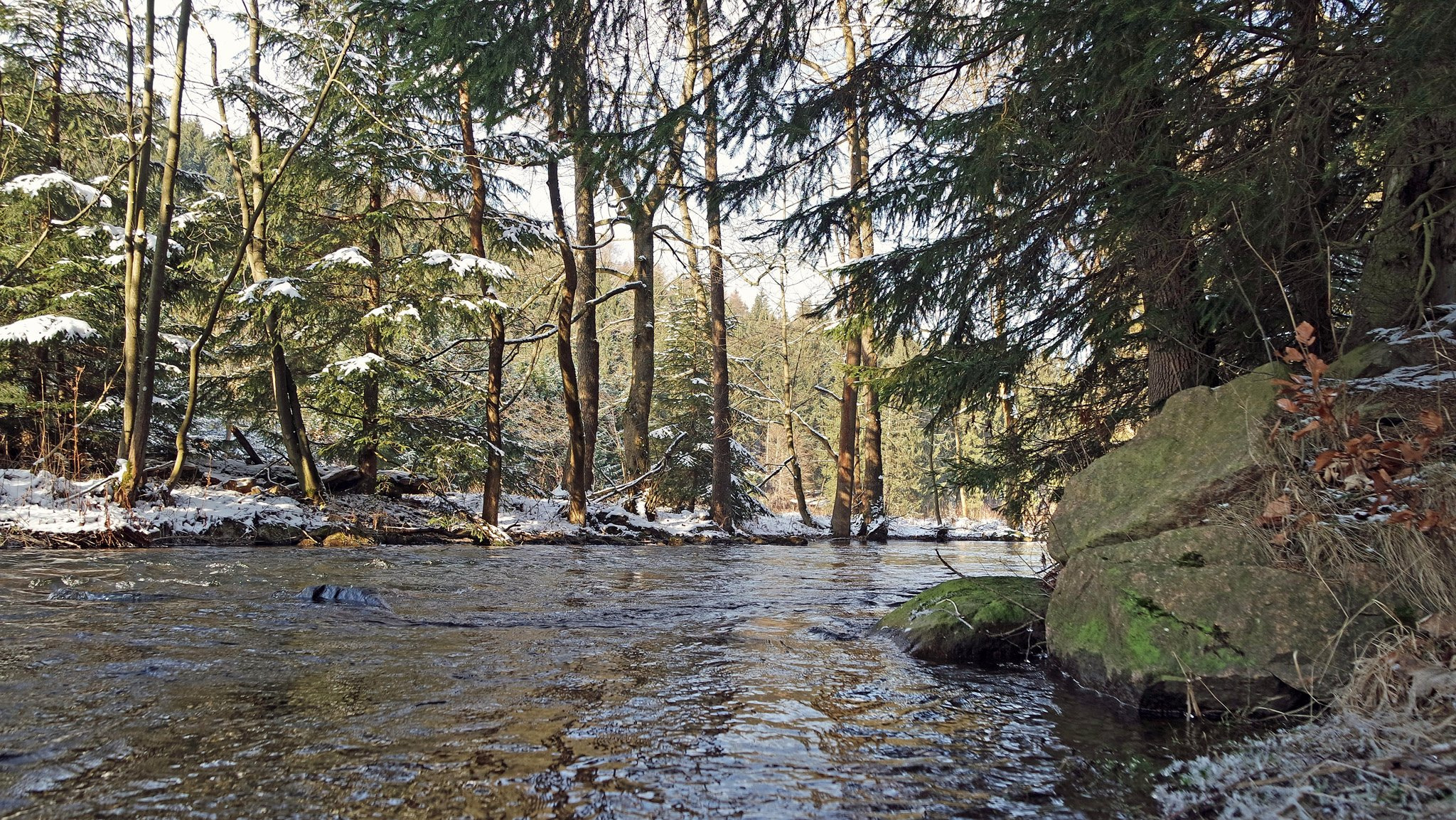 Samsung NX3300 sample photo. "wilde weißeritz", saxony in germany photography