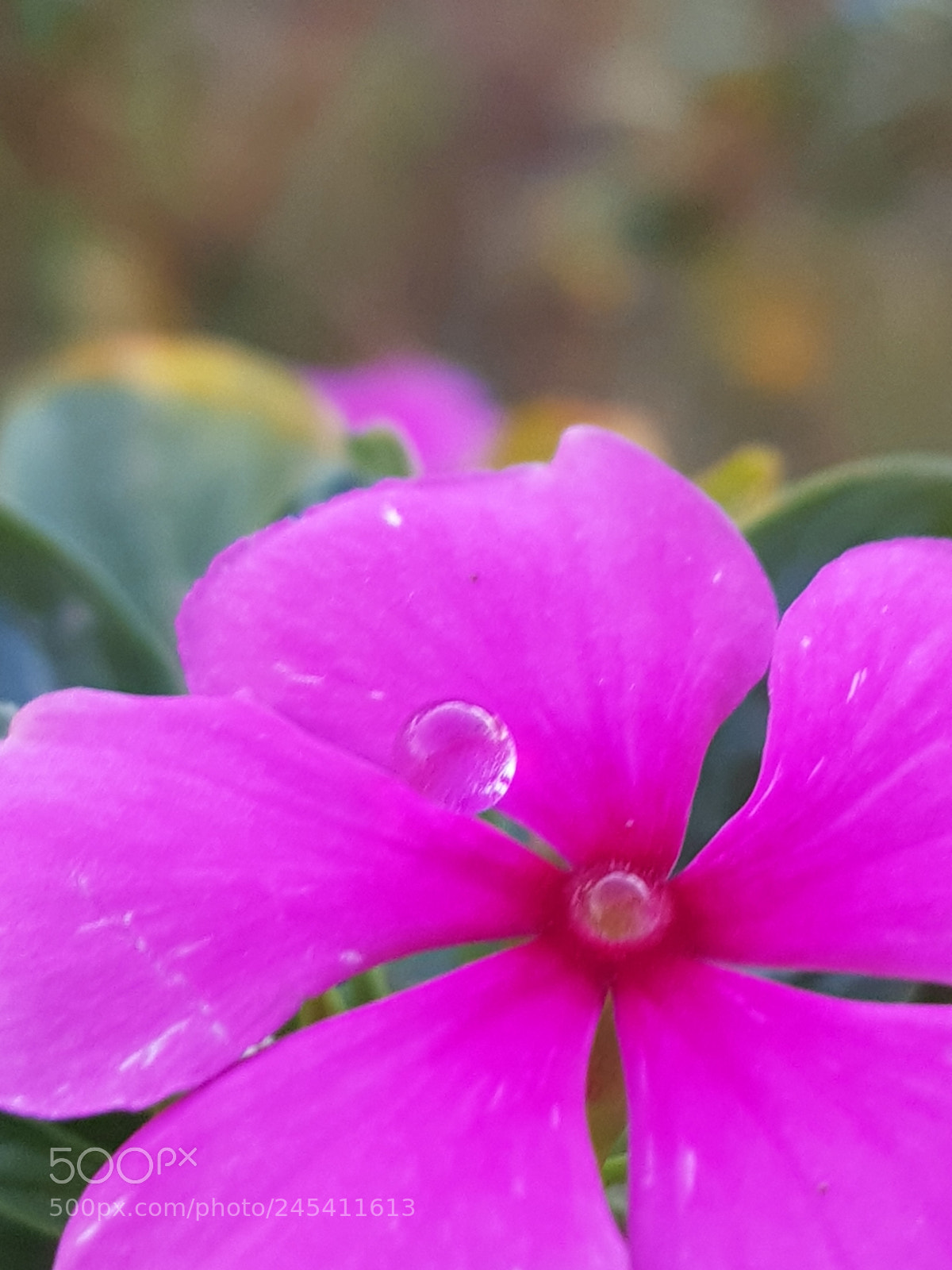 Samsung Galaxy S8+ sample photo. Untitled photography