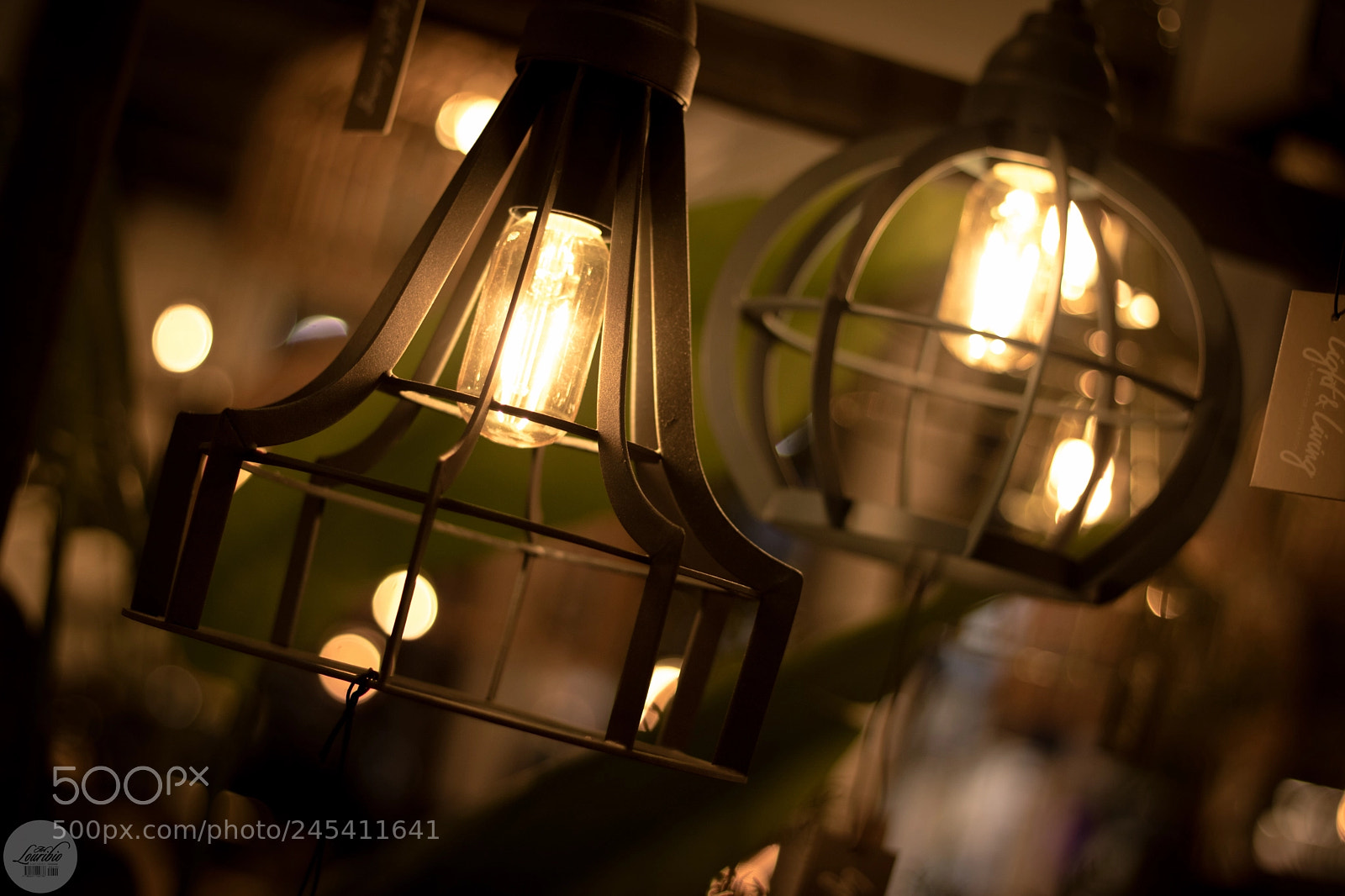 Canon EOS 760D (EOS Rebel T6s / EOS 8000D) sample photo. Lightandliving the light feeling photography