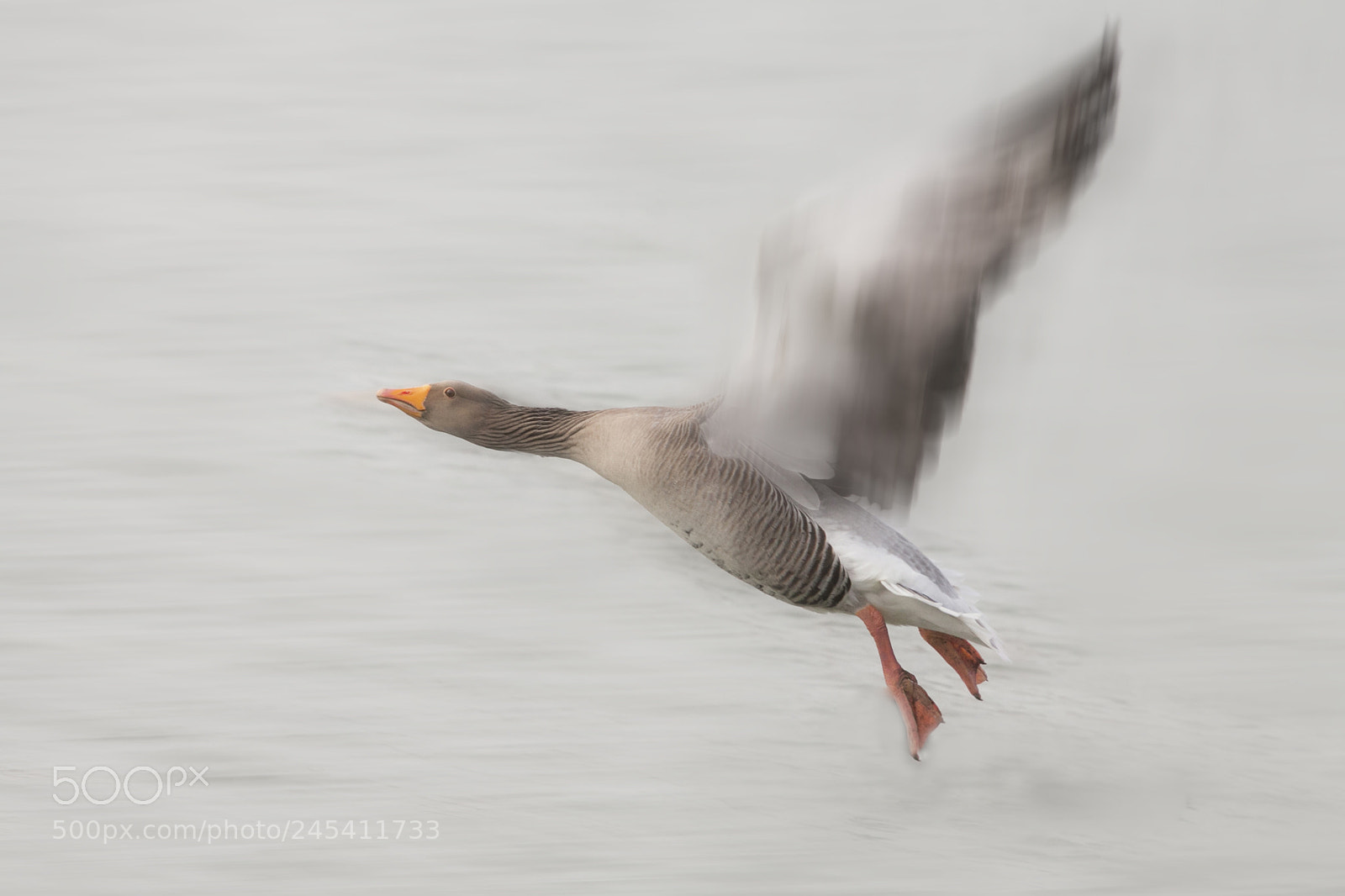 Canon EOS 50D sample photo. Dancing on ice photography
