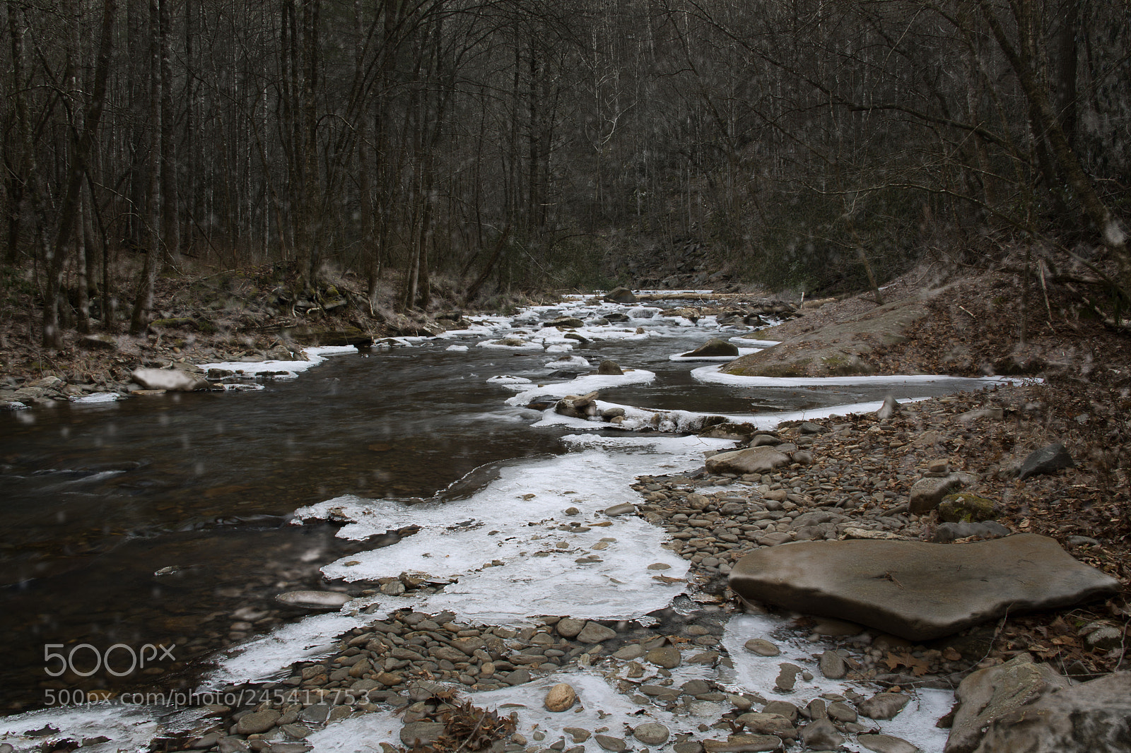 Nikon D7100 sample photo. Winter comes to fires photography