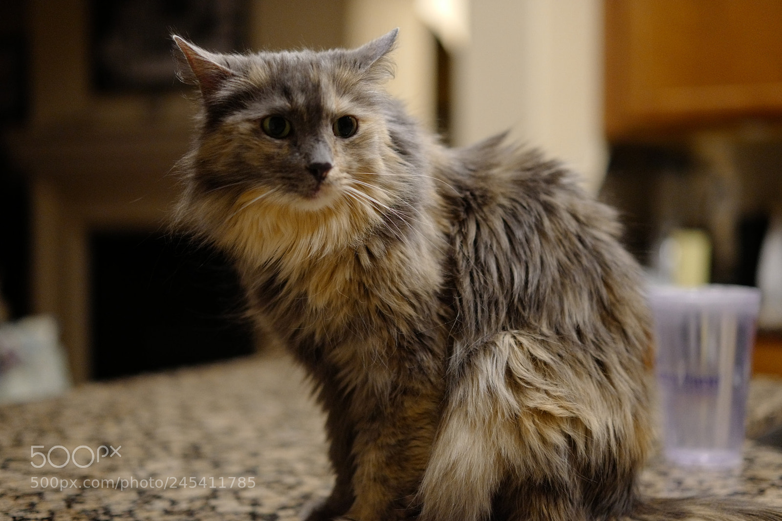 Leica CL sample photo. Another with the new photography