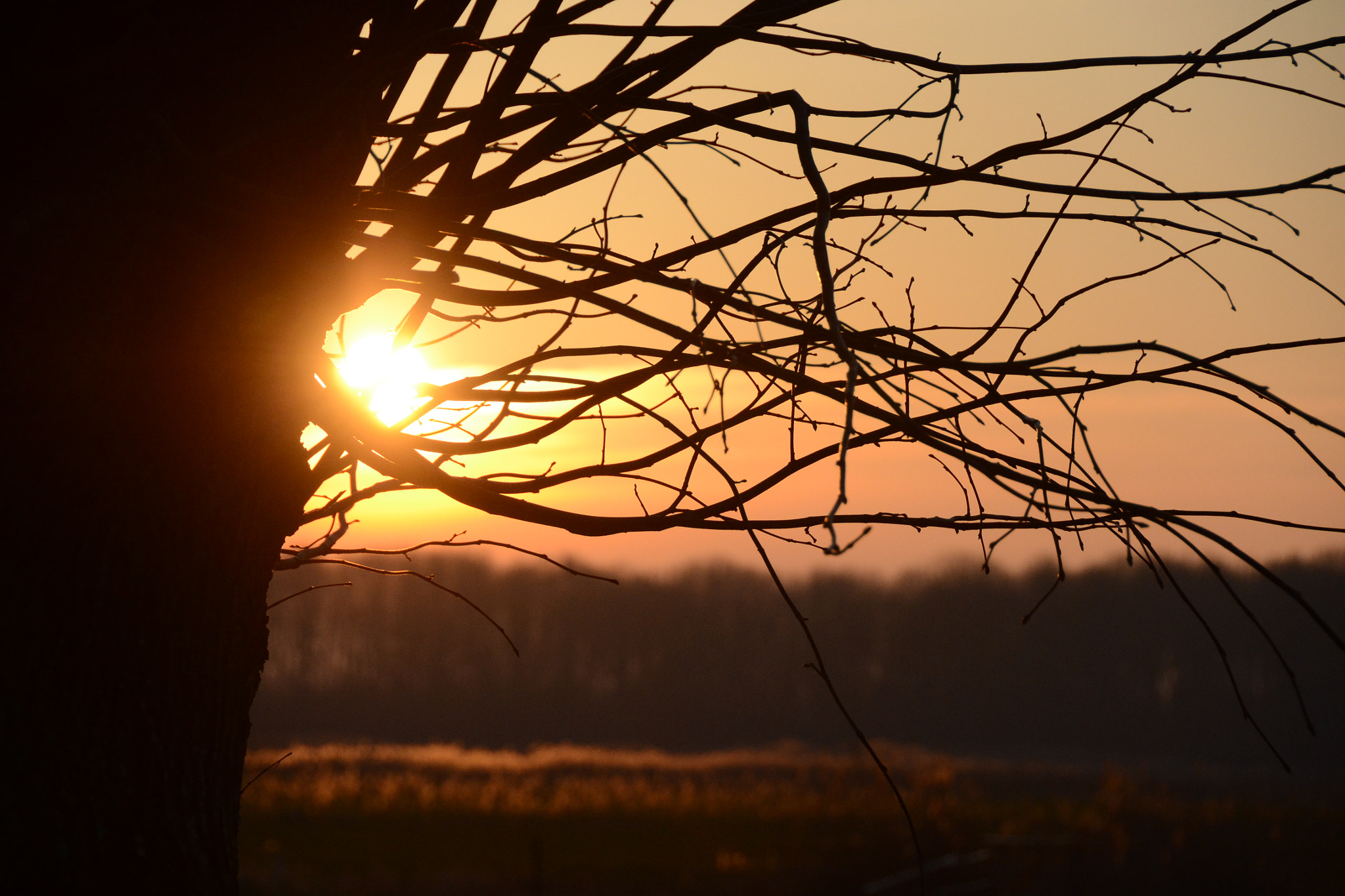Nikon D3100 sample photo. Sunset photography