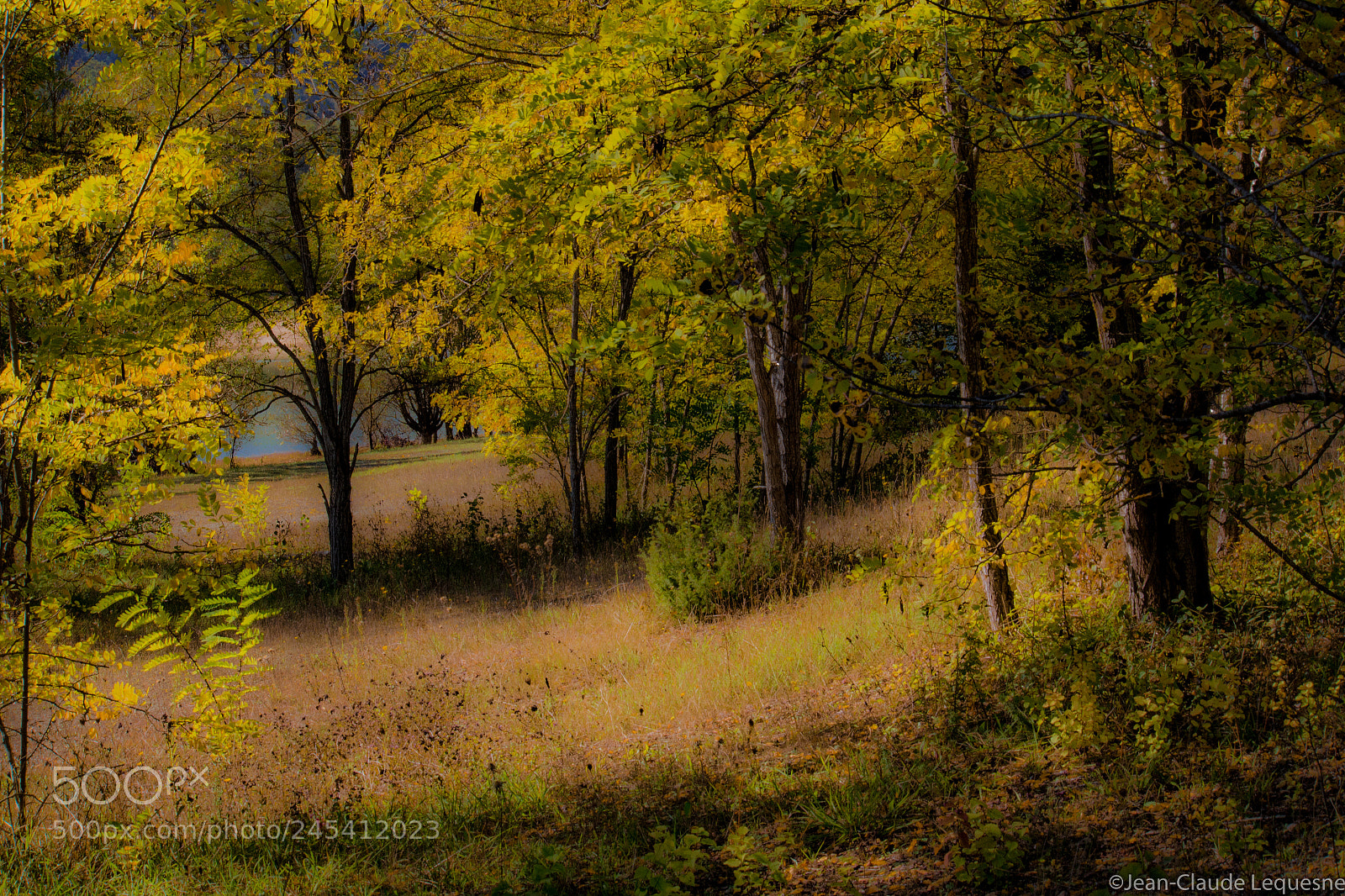 Canon EOS 60D sample photo. Countrys side 76 photography