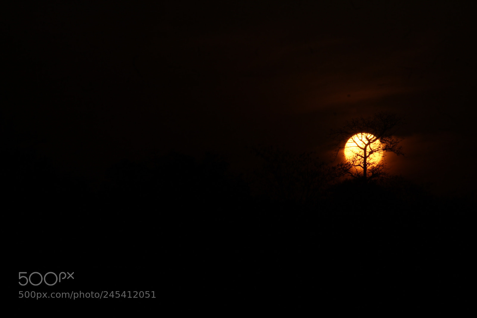 Canon EF-S 55-250mm F4-5.6 IS II sample photo. Untitled photography