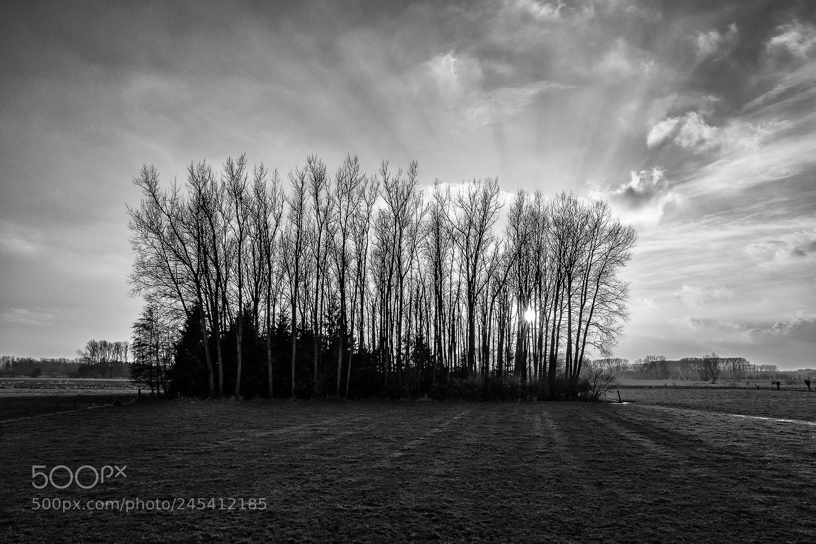 Panasonic Lumix DMC-G85 (Lumix DMC-G80) sample photo. De vaart photography