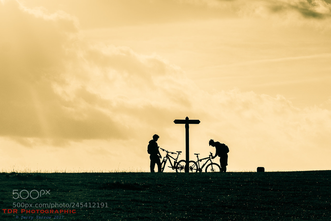 Sony Alpha NEX-5N sample photo. Biking photography