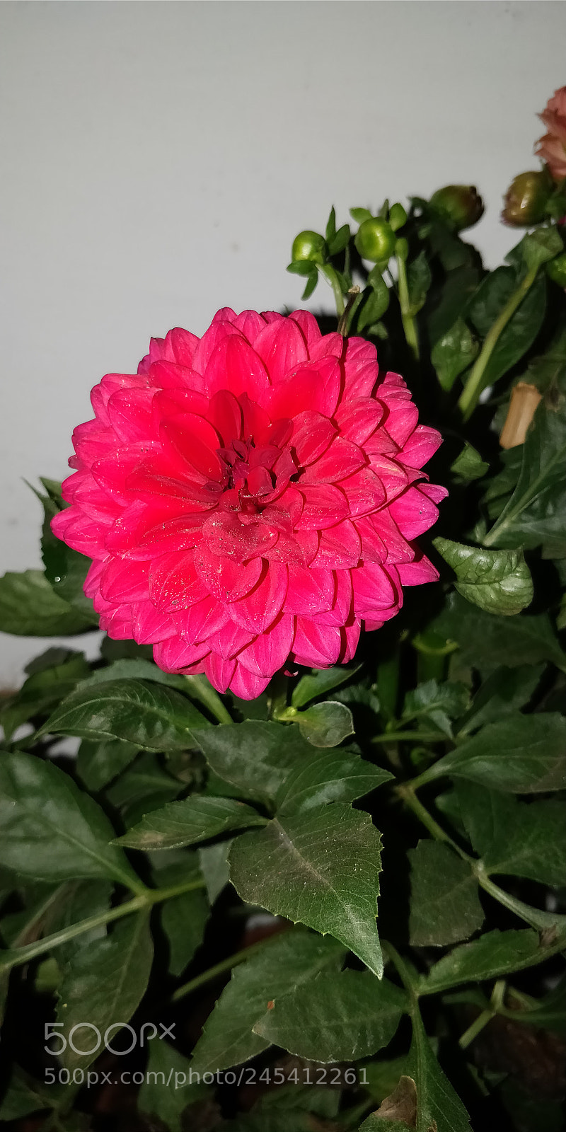 OnePlus 5T sample photo. Untitled photography