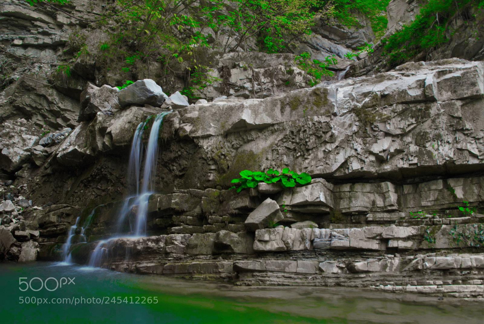 Nikon D3000 sample photo. Green photography