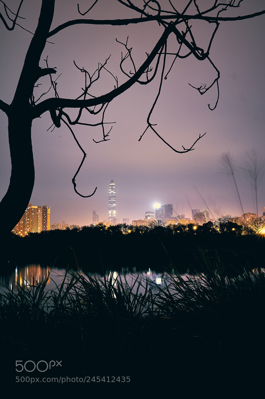 Sony a6500 sample photo. Untitled photography