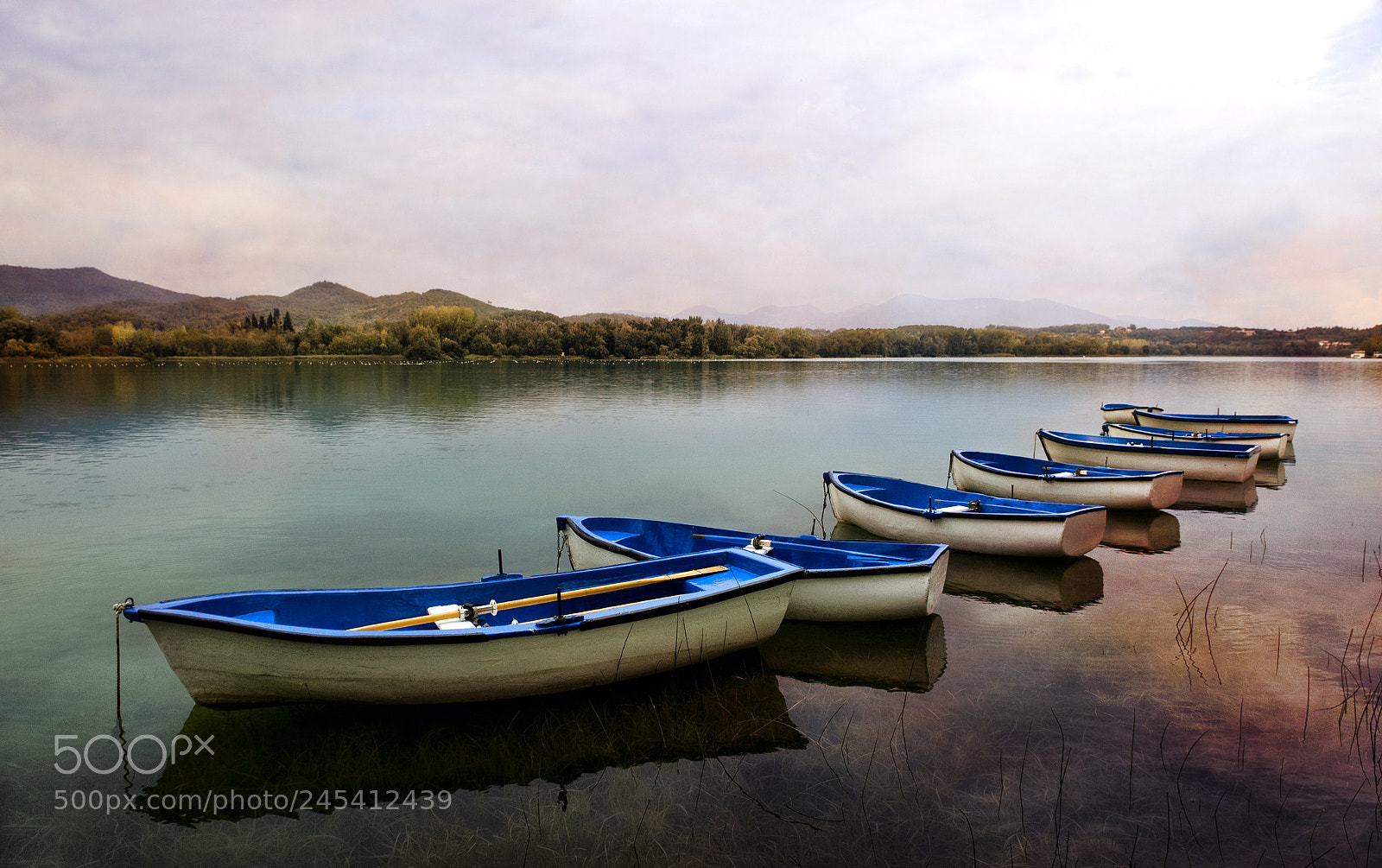 Nikon D70s sample photo. Banyoles photography