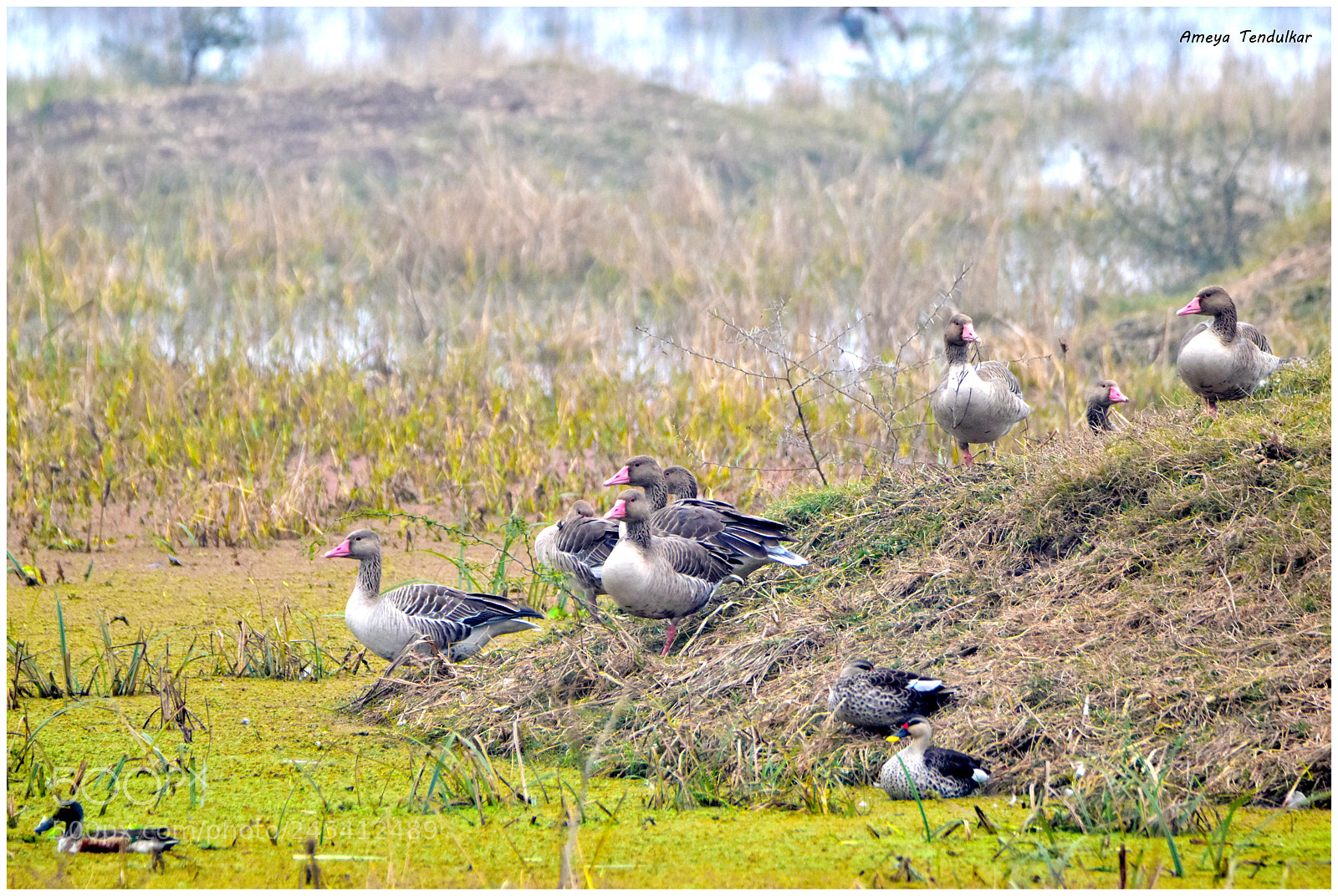 Nikon D5500 sample photo. Dsc photography