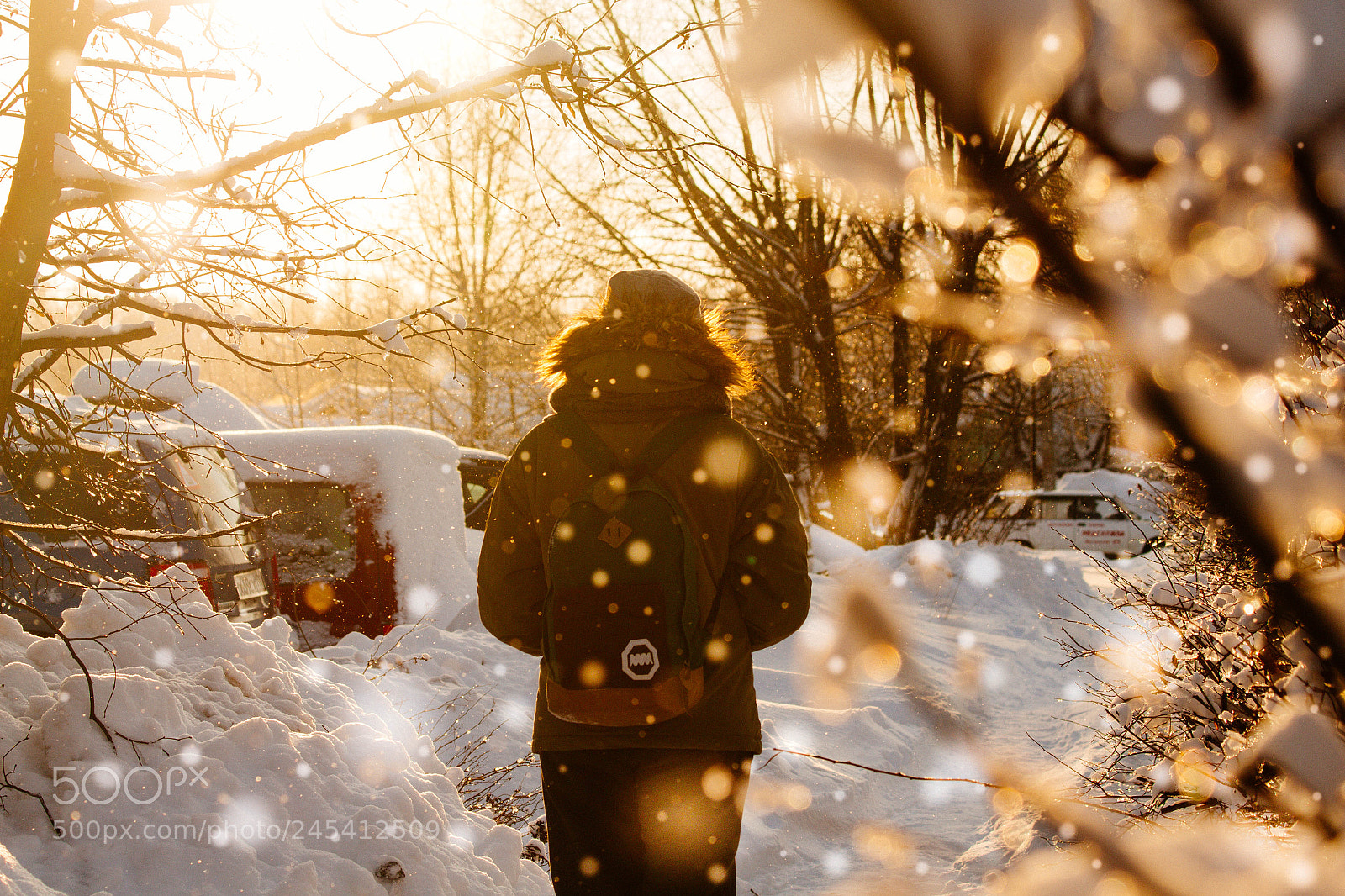 Canon EOS 700D (EOS Rebel T5i / EOS Kiss X7i) sample photo. Winter sunshine photography