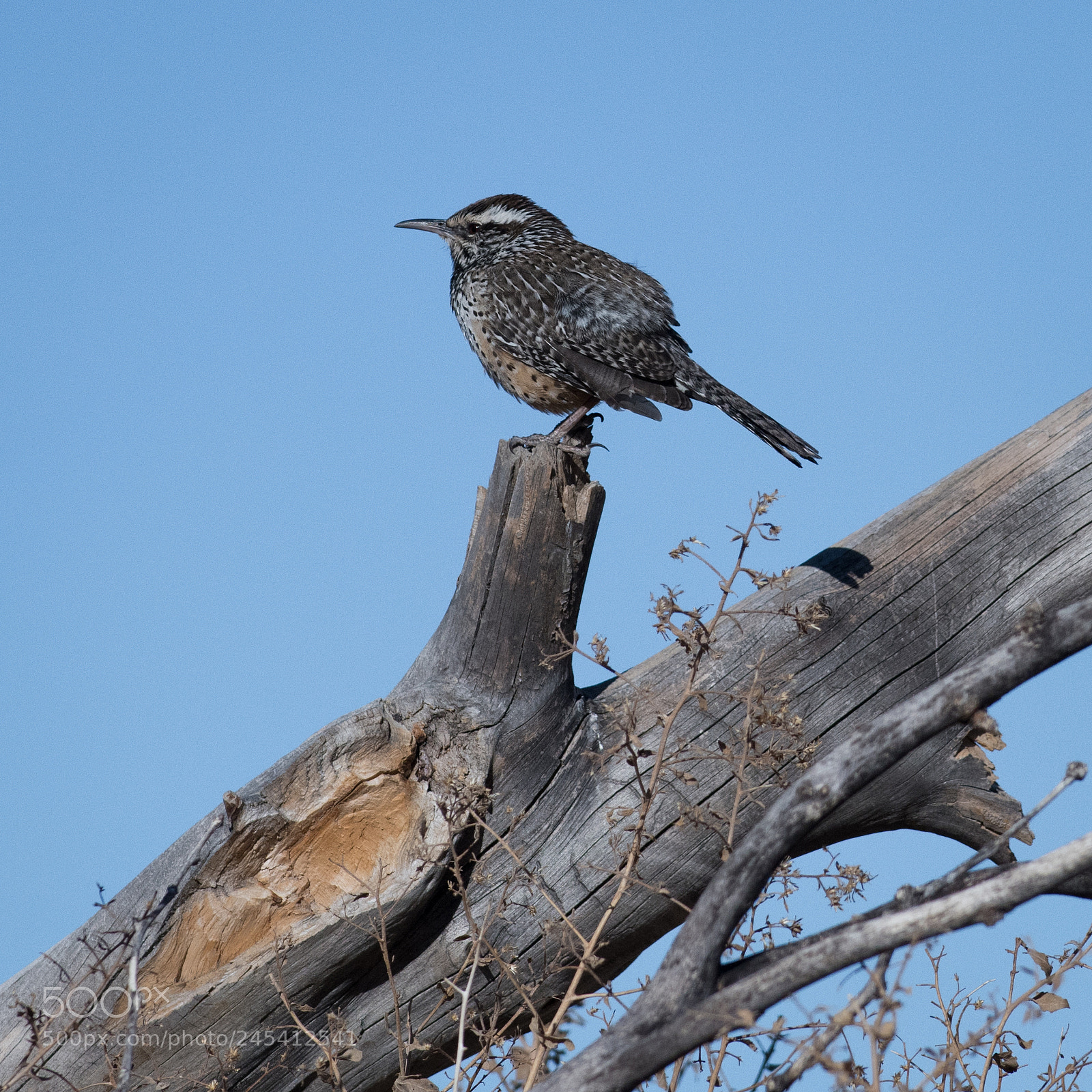 Nikon D850 sample photo. Brief stop photography