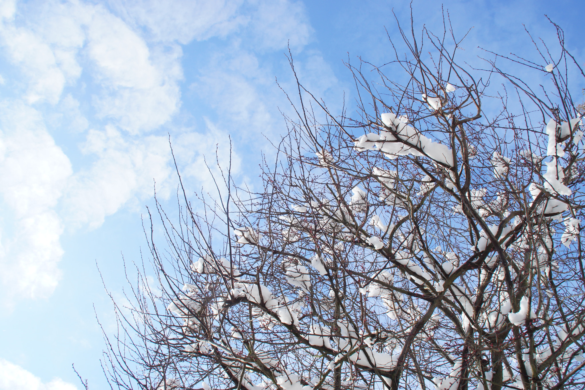 Sony SLT-A65 (SLT-A65V) sample photo. And the sky.... photography